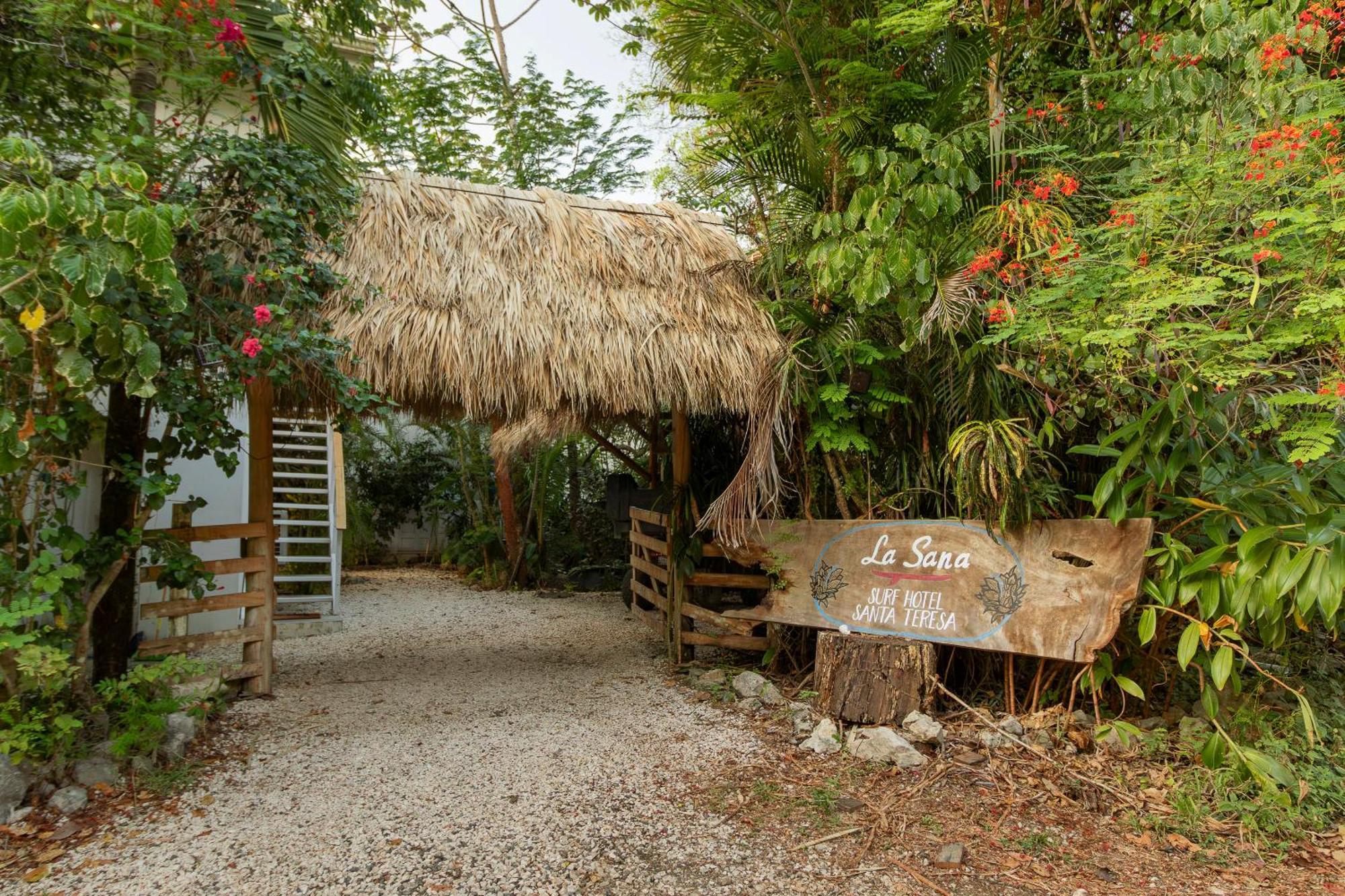 La Sana Surf Hotel, New Management, Few Mn Drive To The Beach Playa Santa Teresa  Buitenkant foto